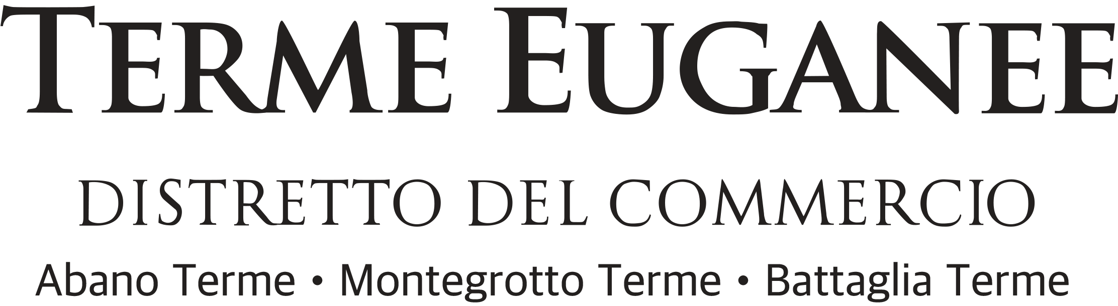 logo-solo-testo-black